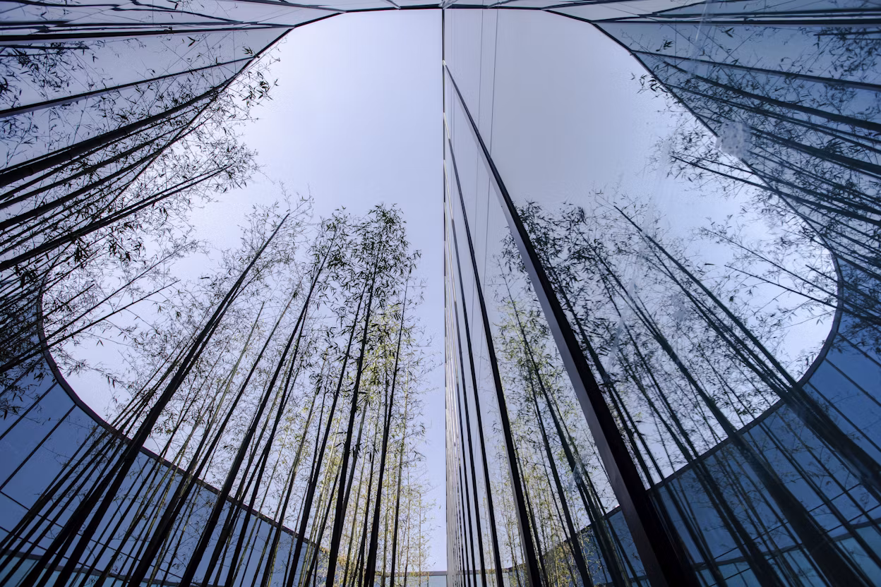 The sky and tall trees viewed from a courtyard surrounded by tall glass windows.