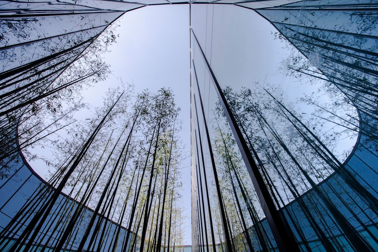 The sky and tall trees viewed from a courtyard surrounded by tall glass windows