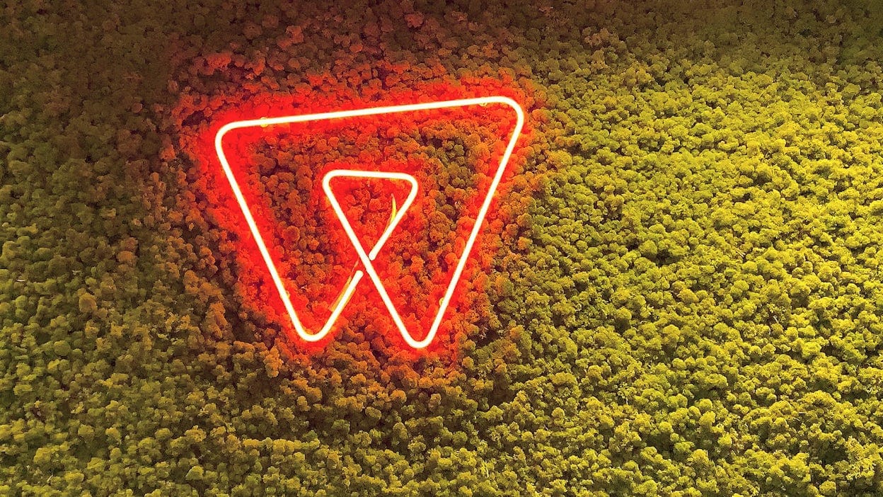 Red-lit logotype placed on yellow moss.