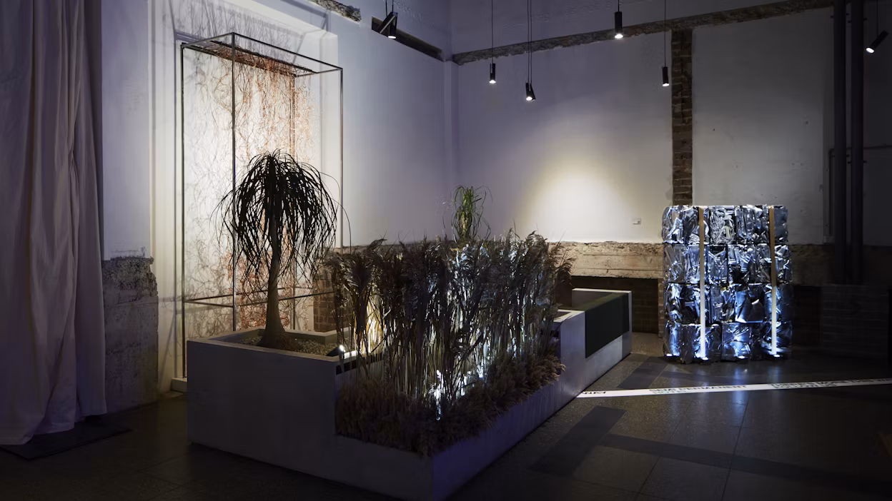 Plant constellations and a silver art piece at the Semi Permanent Hotel.