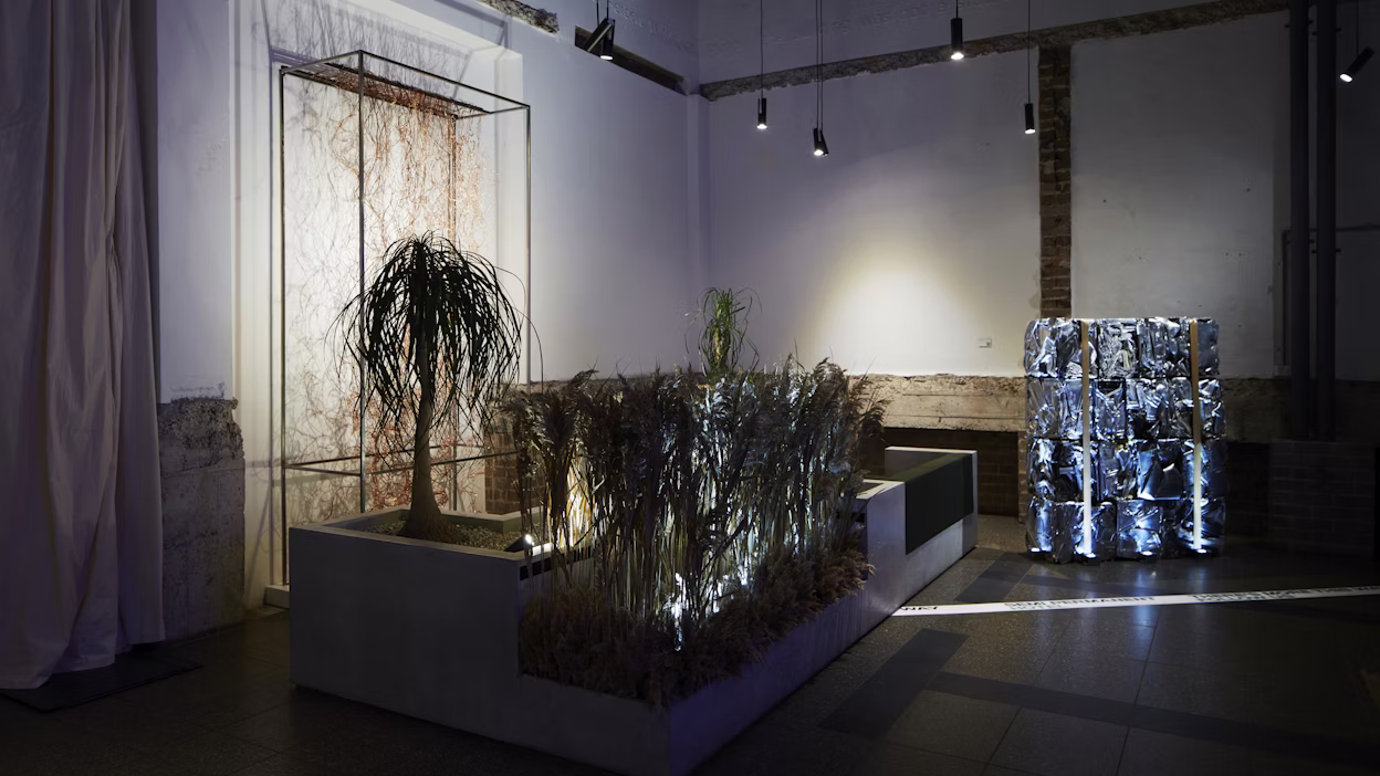 Plant constellations and a silver art piece at the Semi Permanent Hotel.