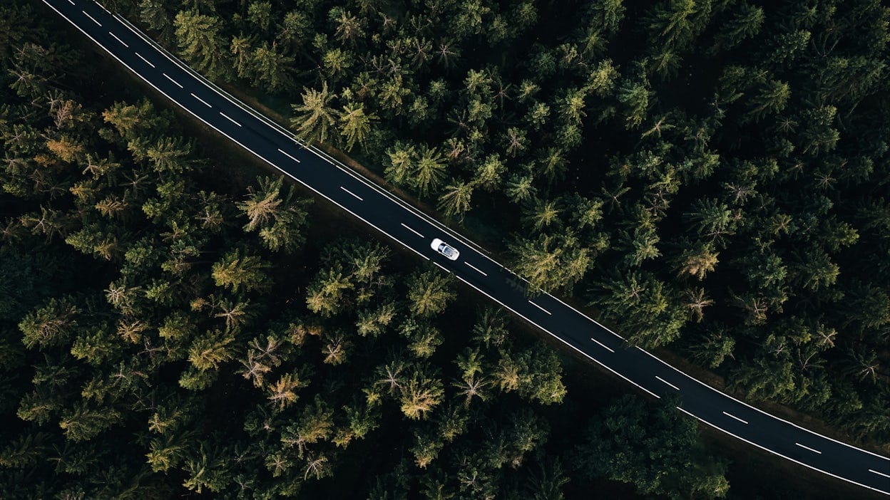 Aerial view of a white Polestar 2 on the road amidst a pine forest.