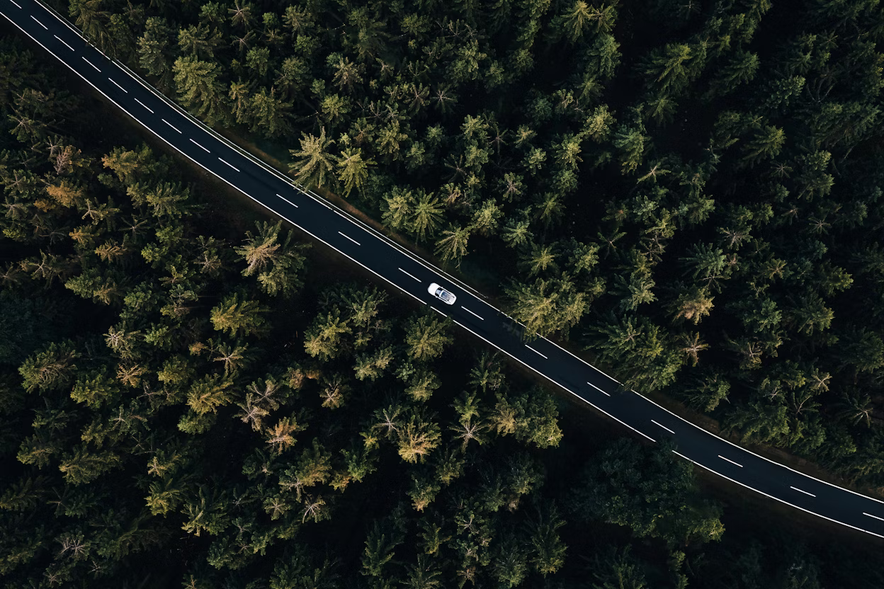 Aerial view of a white Polestar 2 on the road amidst a pine forest.