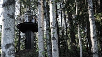 A treehouse in a forrest. 