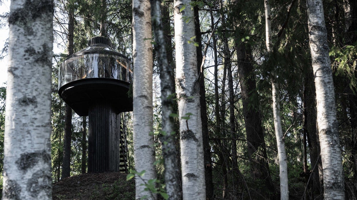 Une cabane dans une forêt