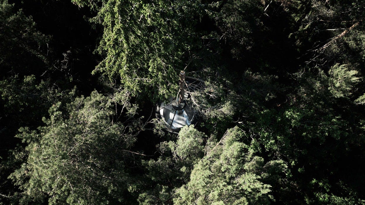 Une cabane dans un arbre, vue d'en haut.