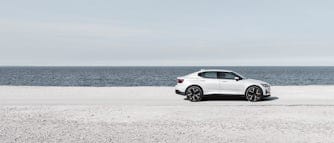 White Polestar seen from the side. The ocean in the background
