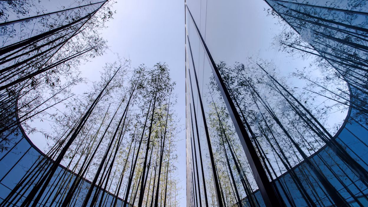 Worm's-eye view of building with mirror facade, reflecting tall green branches and blue sky.