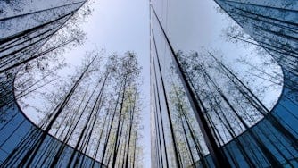 Worm's-eye view of building with mirror facade, reflecting tall green branches and blue sky.