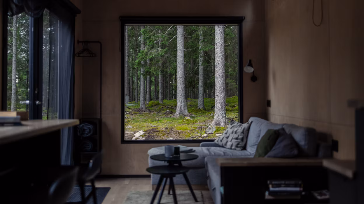 Interior of tiny house in the woods.