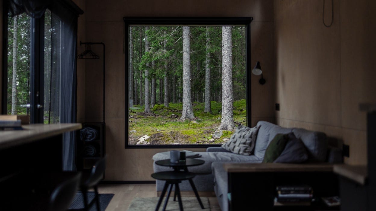 Interior of tiny house in the woods.