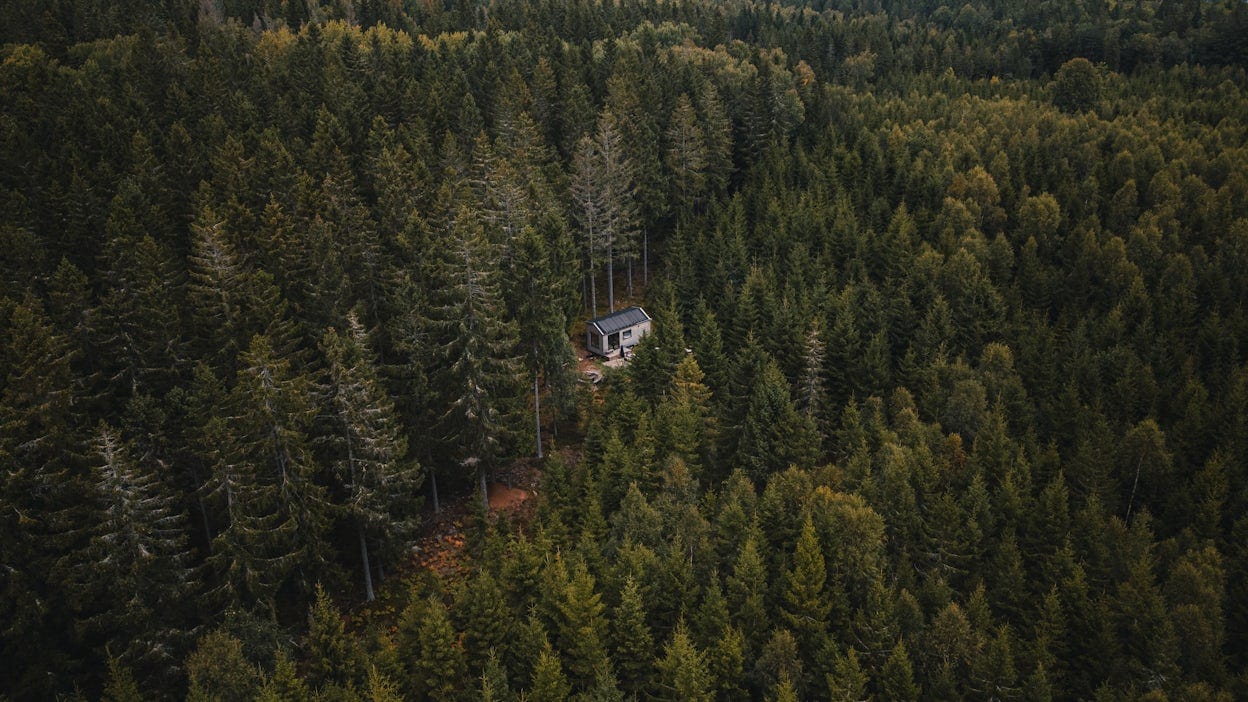 Cabin surrounded by a dense forest.