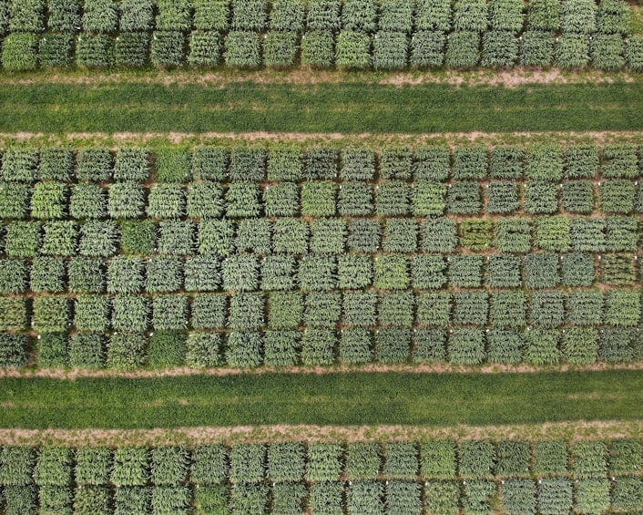 Arial view of green field crops