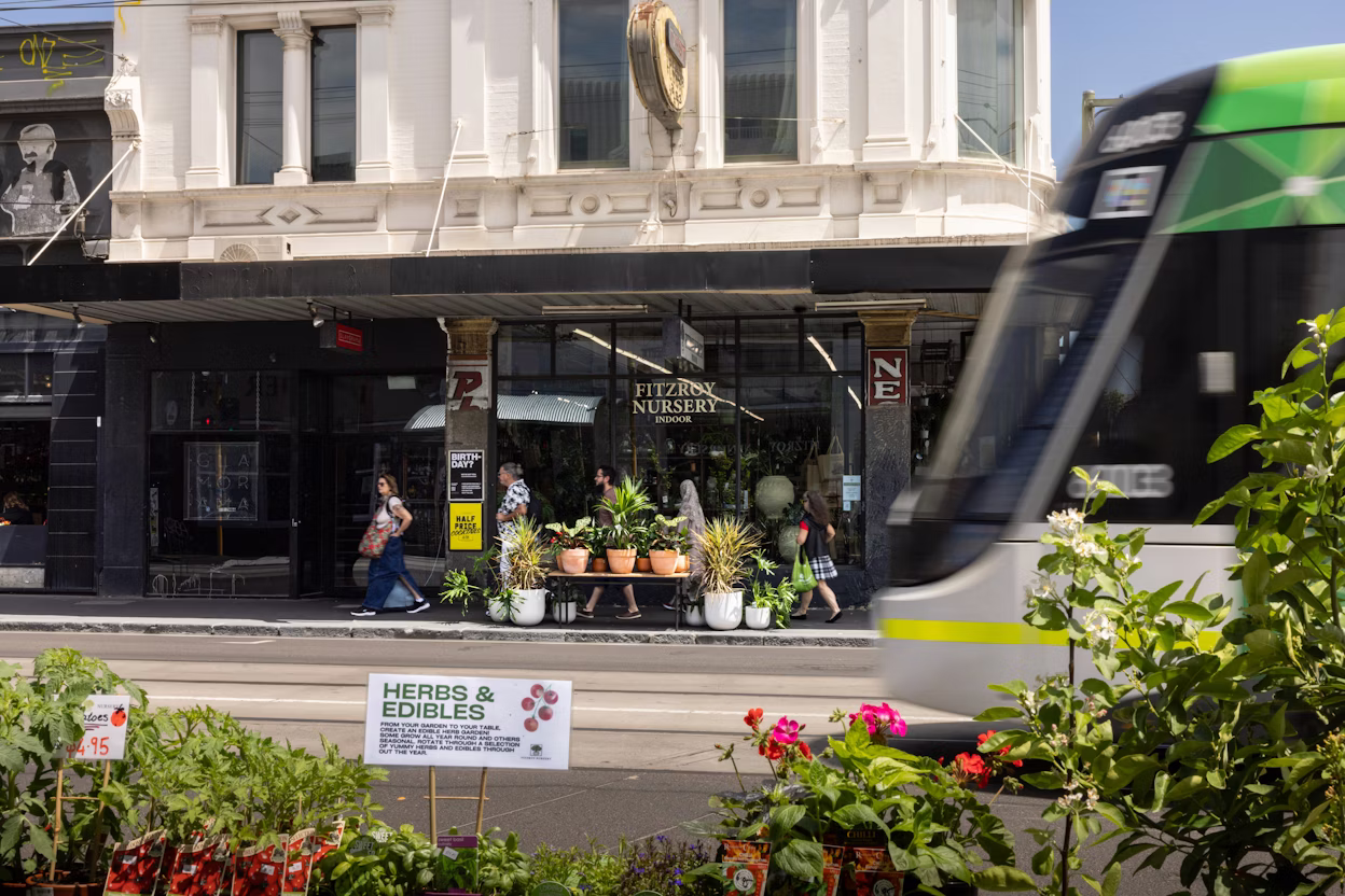 A photograph from outside Fitzroy Nursery.