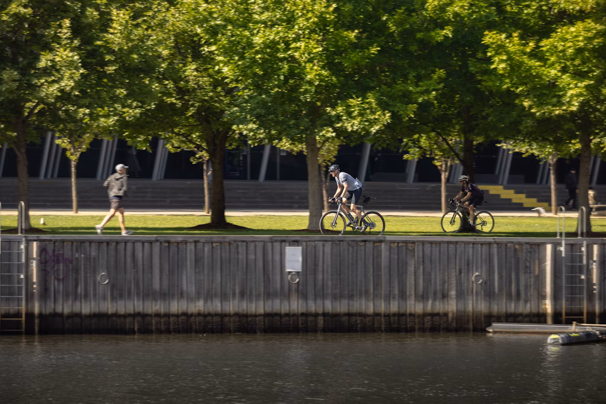 Two bikists and one runner making their way underneath trees in a park.