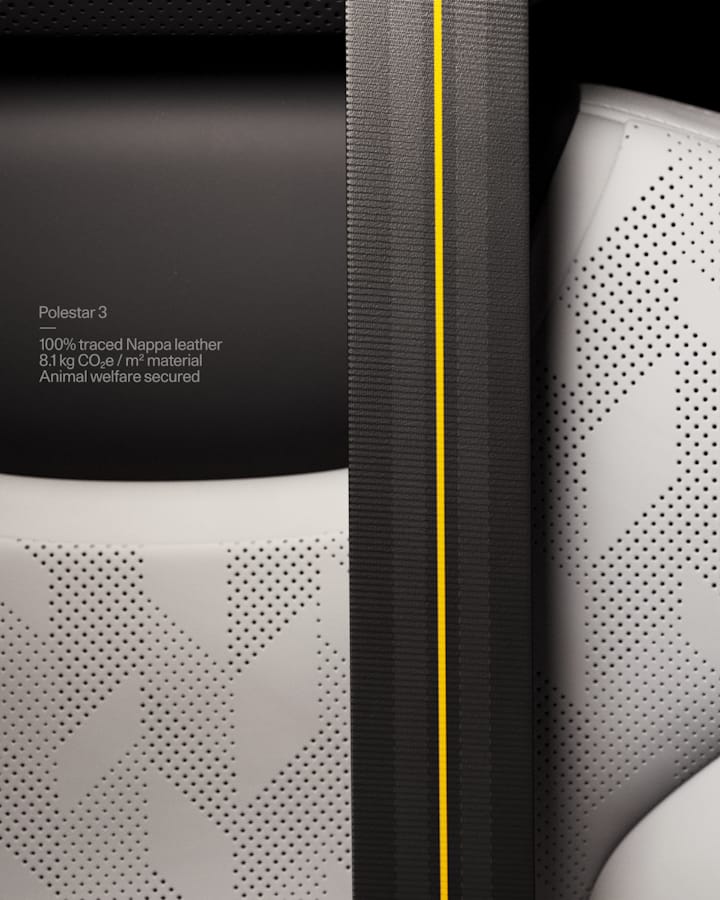 Close up of black seatbelt with Swedish gold stripe.