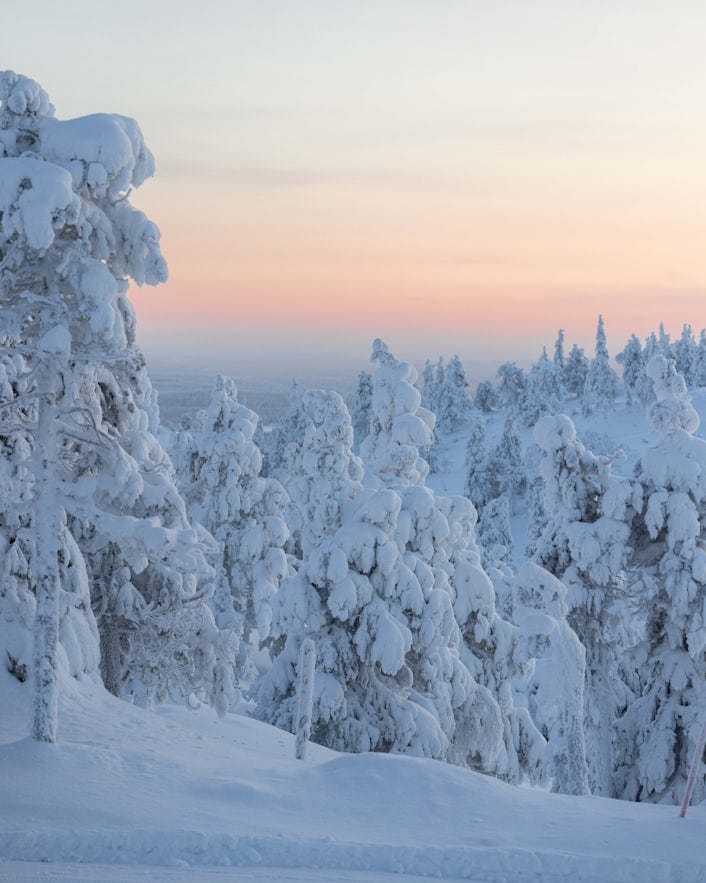 A landscape image of a snowy Northern Finland.