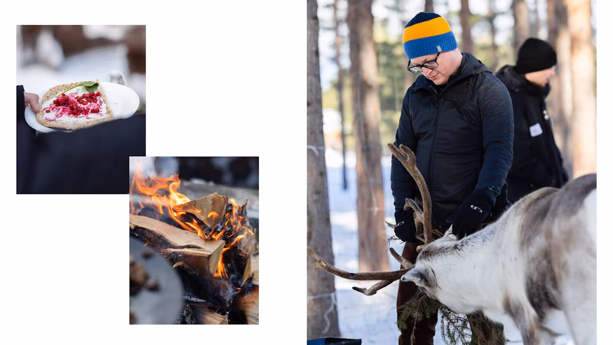 Canvas of Gordon's reindeer experience in Jokkmokk.