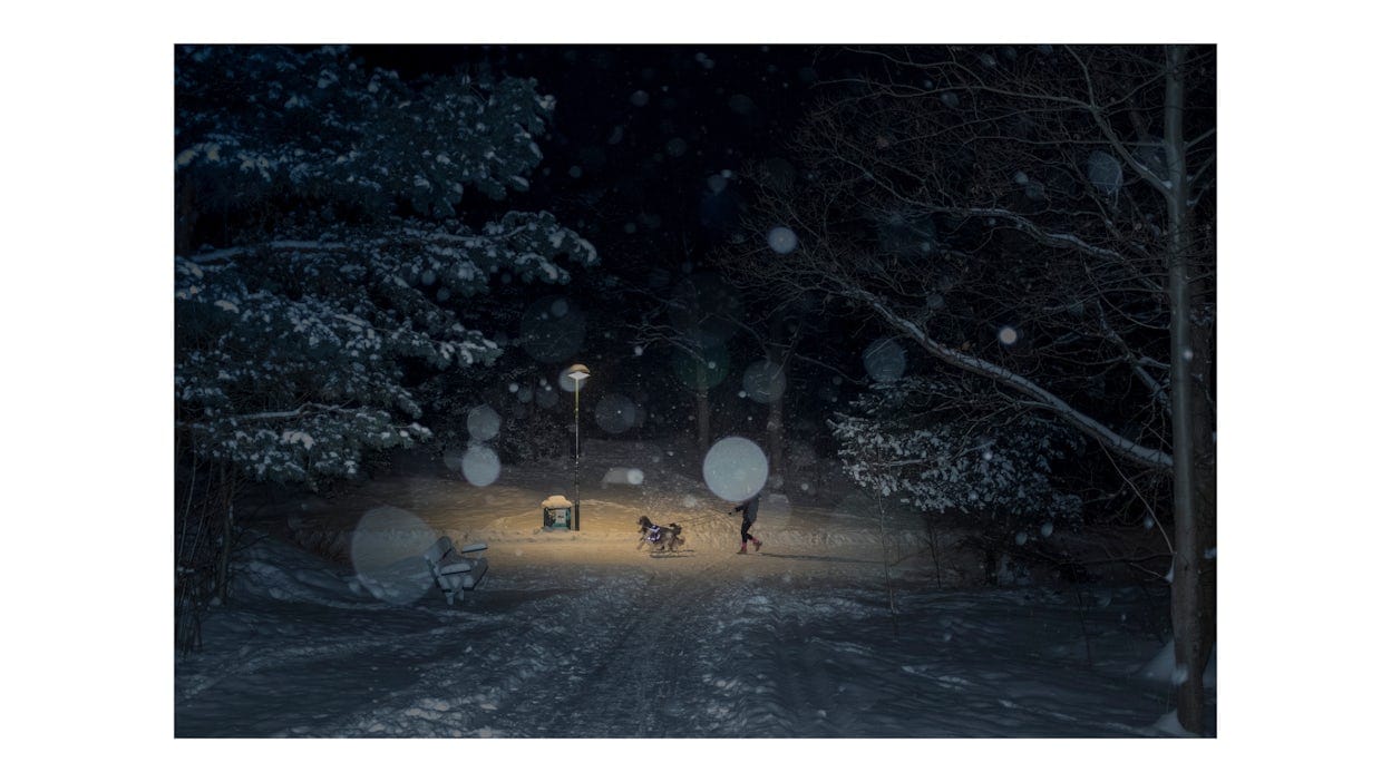 Snow falling in a park, at night. Further away, a person is walking her two dogs.