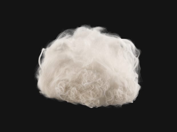 Up-close image of the animal welfare-certified wool.