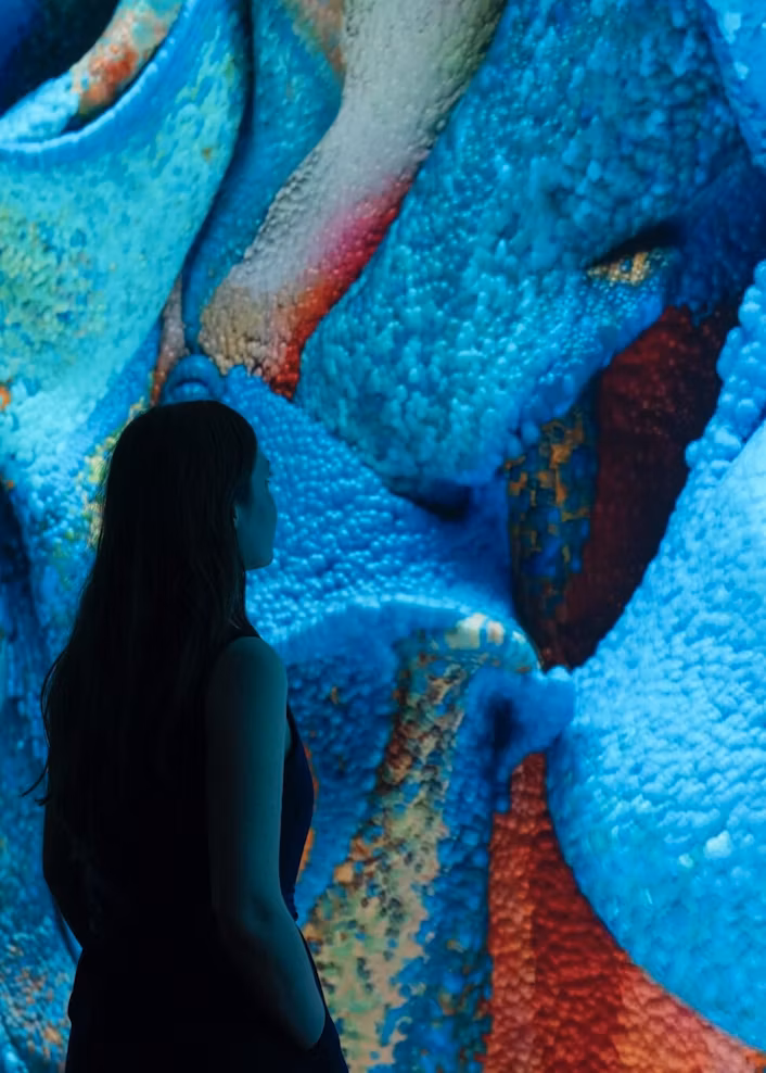 Silhouette of lady standing in front of colourful digital art exhibition