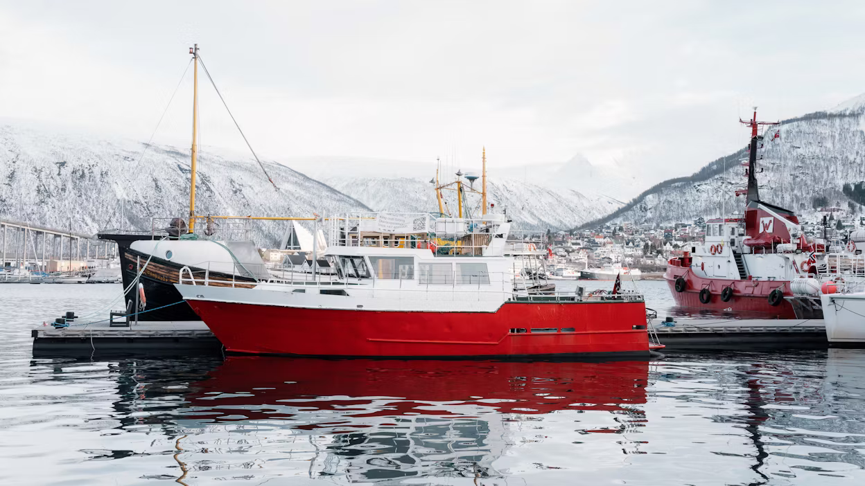 Harbour setting in daytime