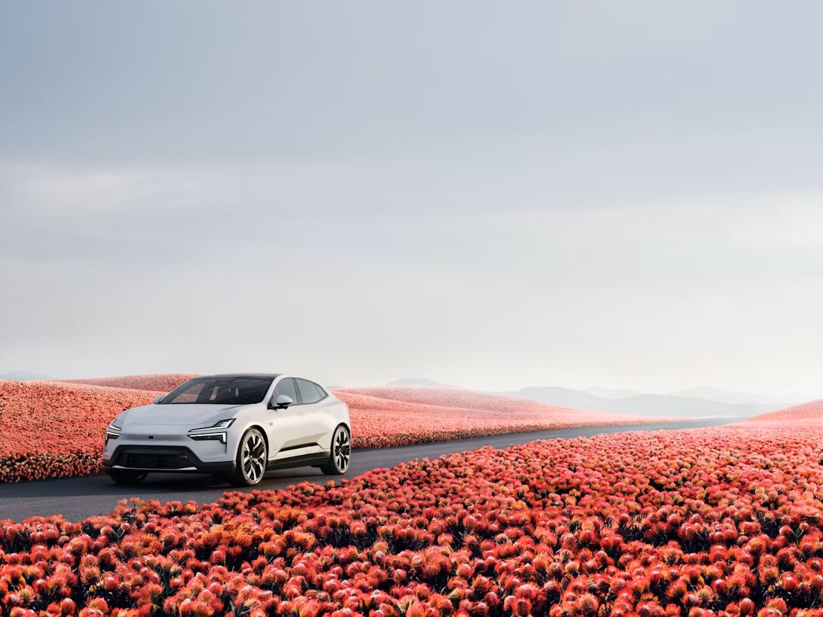 Polestar car on road surrounded by pink flowers under clear sky.