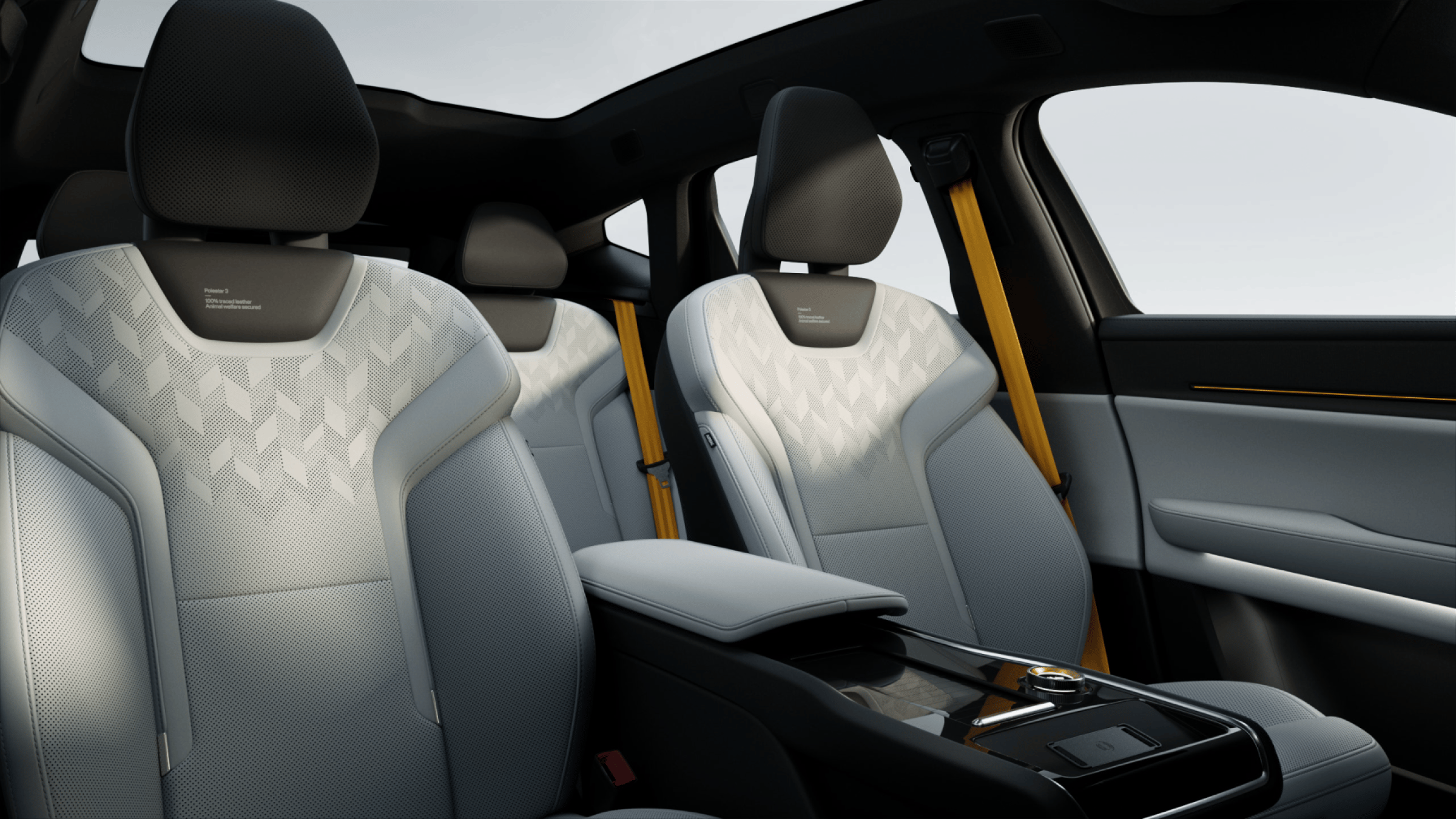 Zinc leather and Black ash deco theme