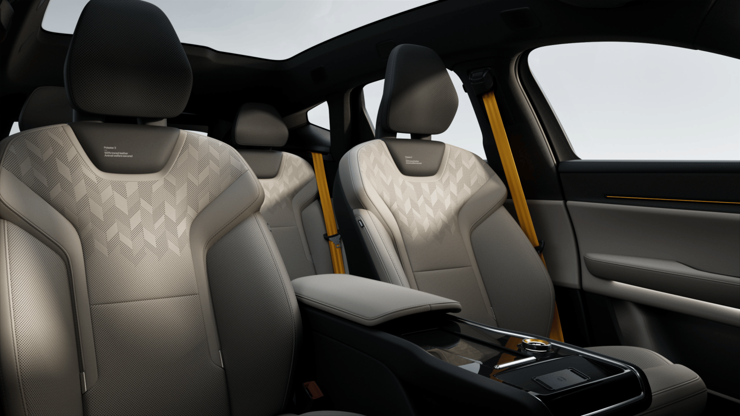 Dune leather and Black ash deco theme