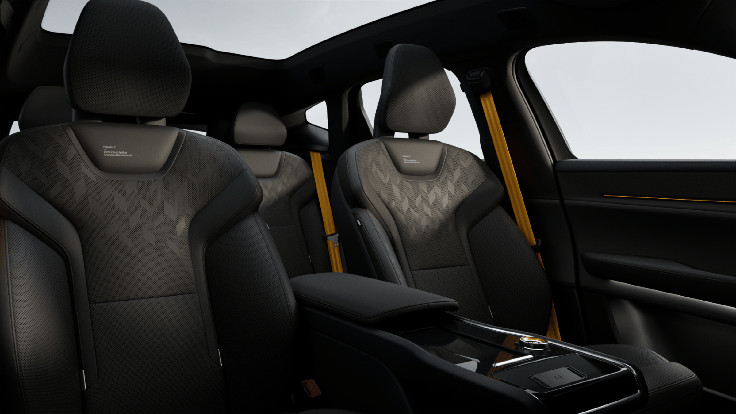 Charcoal leather and Black ash deco theme