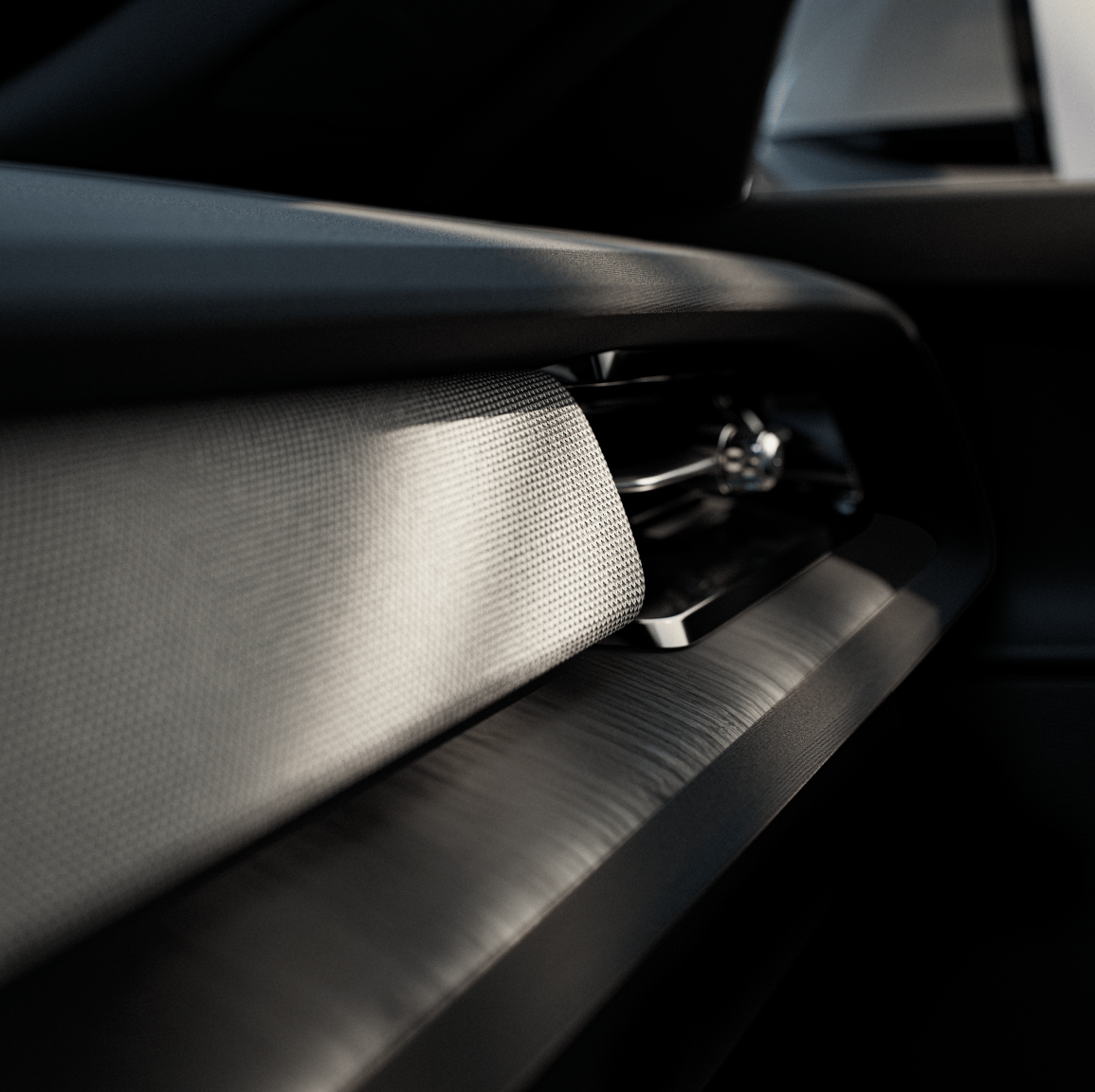Close-up of a car interior door handle and trim